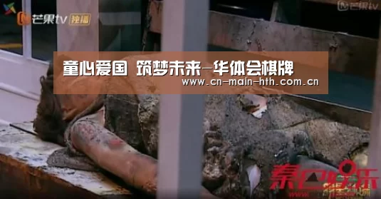 童心爱国 筑梦未来-华体会棋牌