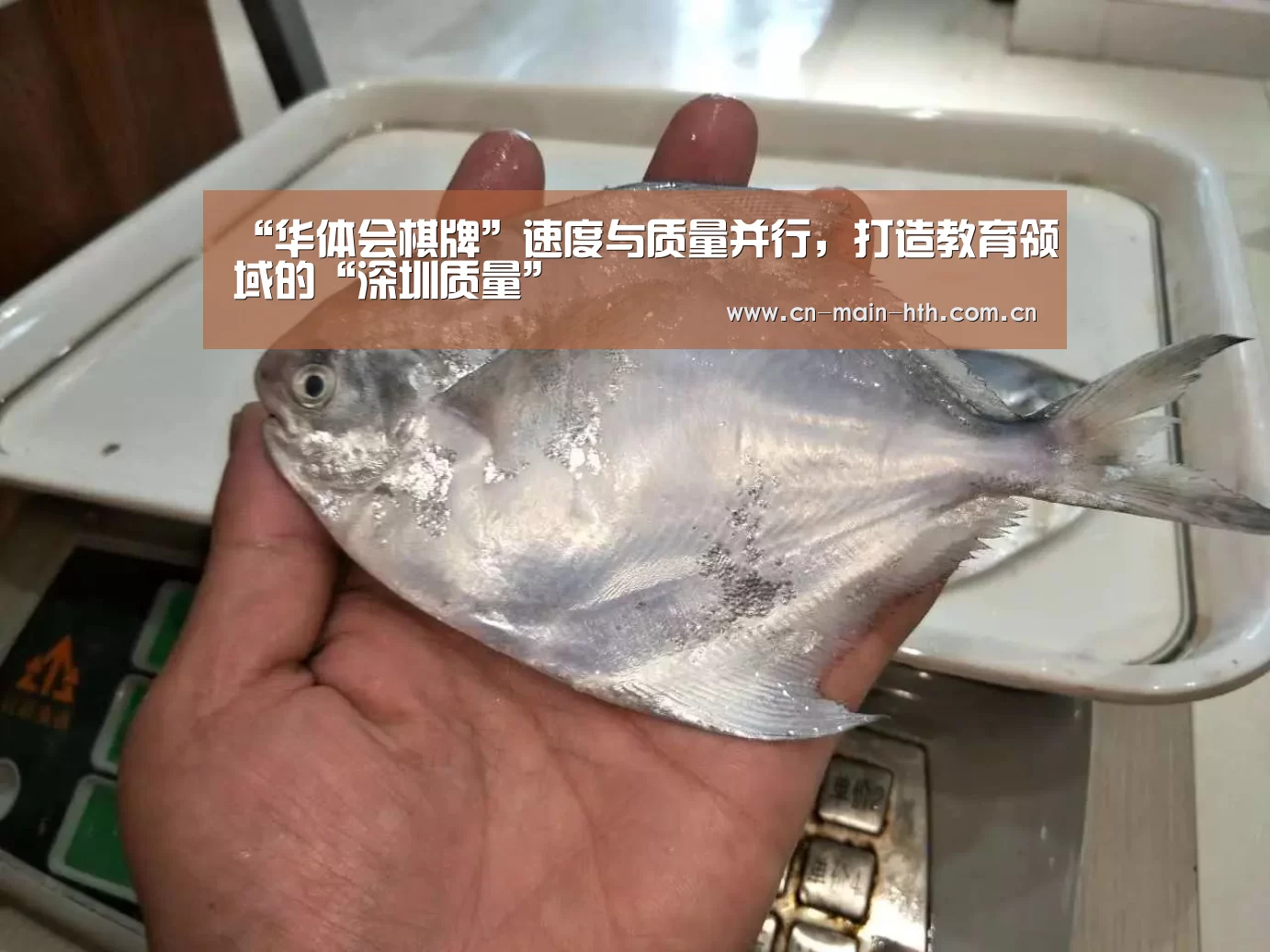 “华体会棋牌”速度与质量并行,打造教育领域的“深圳质量”(图3) 华体会官网下载