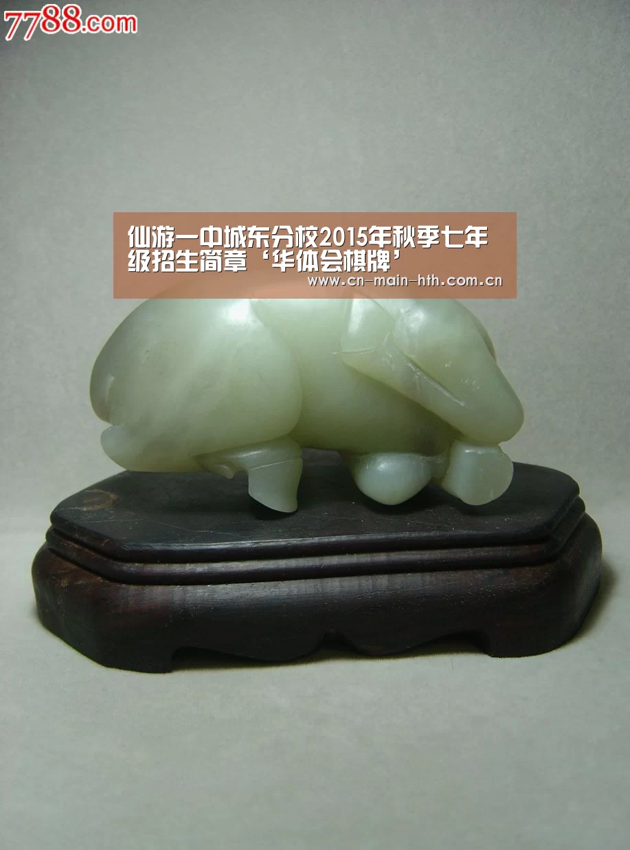 华体会官网下载